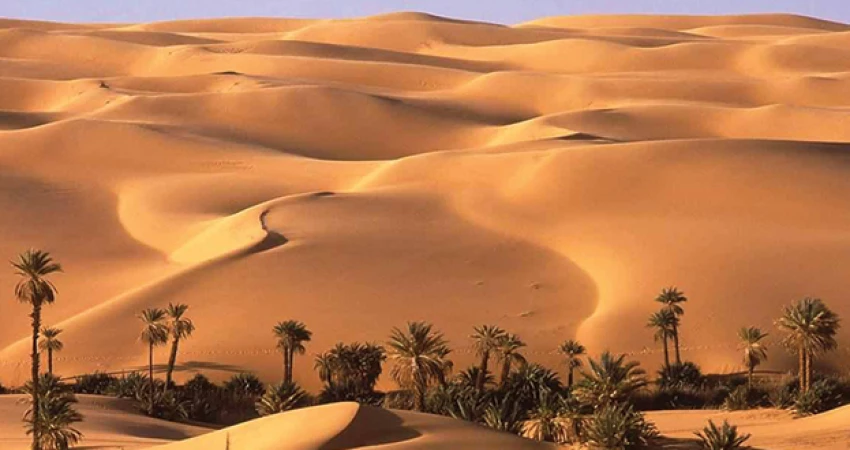 Bahareya Oasis